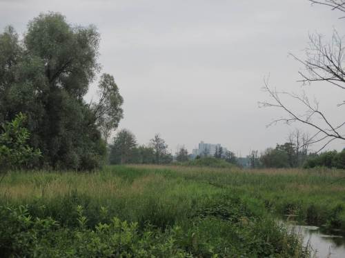 Auch hier blickt die Großstadt über das Tal zu uns.