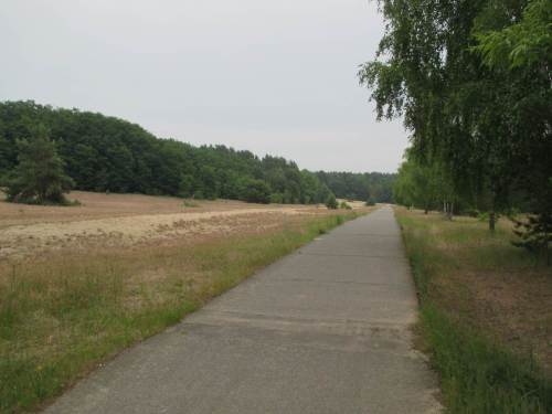 Sand und Heide neben dem Grenzweg - noch schöner wäre das Erlebnis ohne die Hundehaufen ...