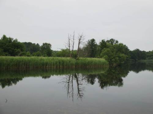 Der Köppchensee wartet mit einer Überraschung auf.