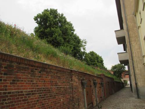 Blumenwiesen auf den Wällen beeindruckten uns.