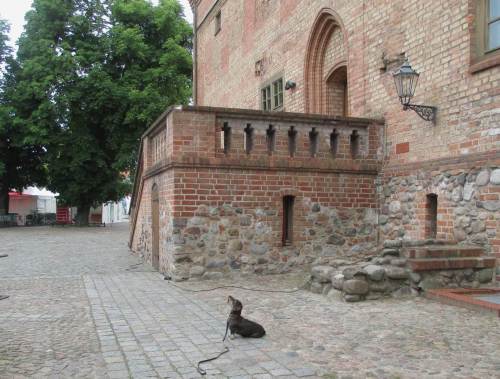 Boaahhh, ey, mussten meine Leute denn da hoch kraxeln?!