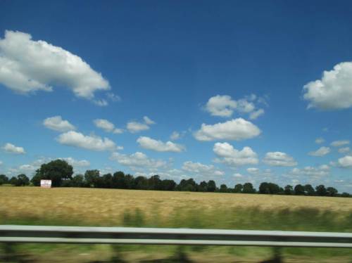 Bald steht die Getreideernte an.