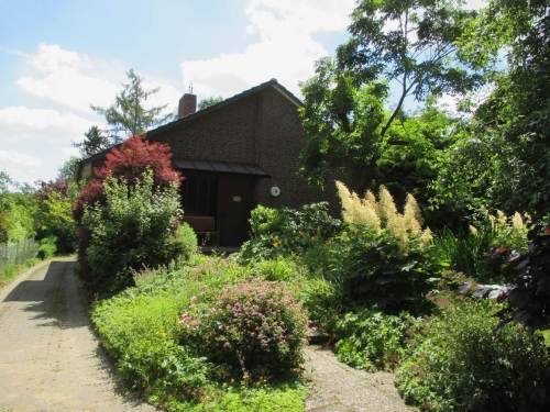 Bei bestem Wetter sind wir gut zu Hause angekommen - Resultate des "grünen Daumens" begrüßen uns.