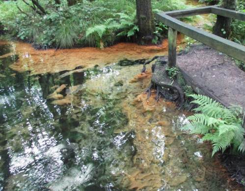 Farbenspiel Schwindebeck-Quelle, Detail.