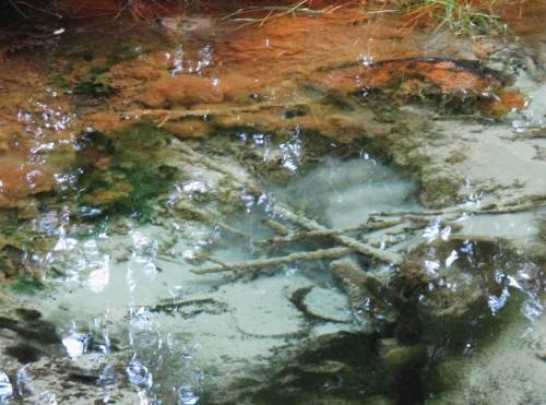 Farblos tritt das sauerstofffreie Quellwasser aus. Chemische und mikrobiologische Reaktion mit Sauerstoff lässt Oxide von Mangan Richtung Schwarz- und von Eisen Richtung Ockerfärbung ausfallen.