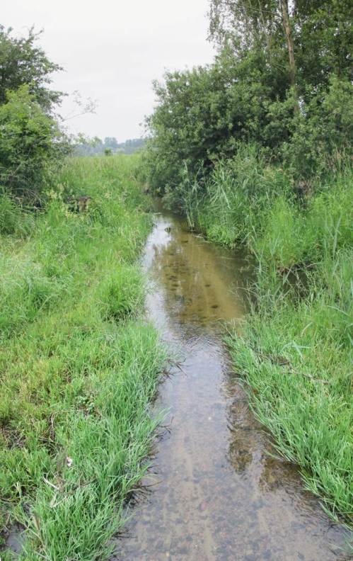 Bachab der Brücke zeigt sich schön die Sortiereigenschaft fliessenden Wassers. Früher konnte sich solch Bach seine Steine aus der Moräne holen.