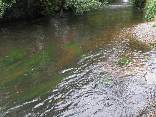 In der Seeve selbst haben die Kies- und Geröllgaben die Struktur der Gewässersohle verbessert.