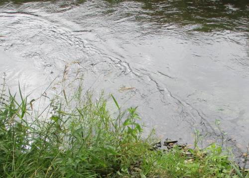 Ein vielfältig-turbulentes Strömungsbild ist vielerorts so entstanden.