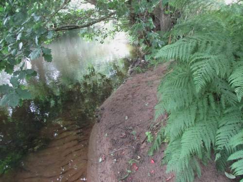 Eine frisch trockengefallende Sandbank - sind da Spuren?