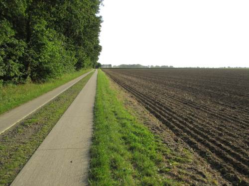 Bei freier Fahrt für freie Bürger reitet der einsame Cowboy dem Sonnenuntergang entgegen - wie und wo auch immer es sei, Glyphosat-Gelb ist immer dabei.
