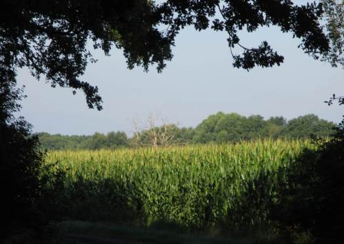 Wir in Niedersachsen haben neue Horizonte.
