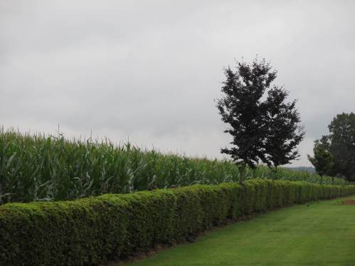 "Die Elbchaussee eines Heide-Luftkurortes" - vergangen, der Blick auf den Wilseder Berg ...