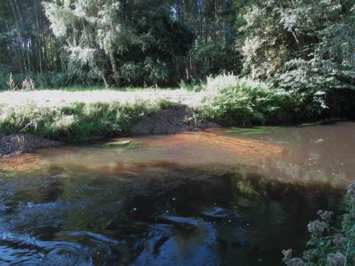 Das Strömungsbild zeigt es. Leicht gegen die Strömung gerichtet schützt die Lenkbuhne das Ufer, baut "neues Land" auf.