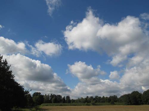 Mit all den in 2015 neu in die Gewässer eingebrachten Kiesen und Geröllen erwarten wir gute Ergebnisse aus der bald kommenden Laichzeit der Forellen.