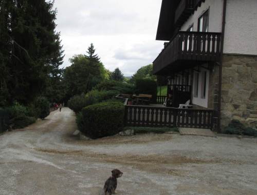 Nach der Ankunft, noch einzugewöhnen - ohne Frauchen, noch am Auto (man beachte Harzer Höhenunterschiede) gehe ich nicht ins Haus.