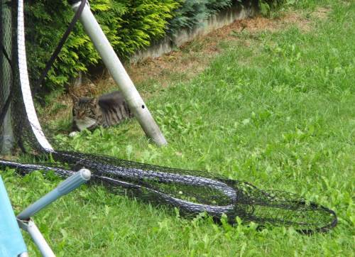 Ich tu mal so, als wär` gar nichts ...