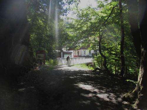 beim Spaziergang an der Bode (hier Start von Treseburg aus), ...