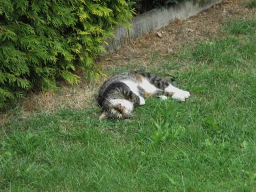 Ihr bleibt aber schön auf eurer Seite der Holzwand, oder?!