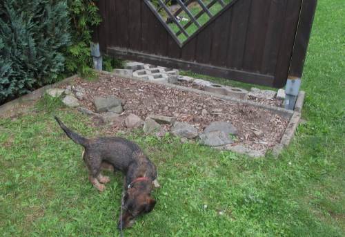 Neuer Tag, neue Spur - hier war doch schon wieder wer! (Ist noch, mal durchs Gitter schauen.)