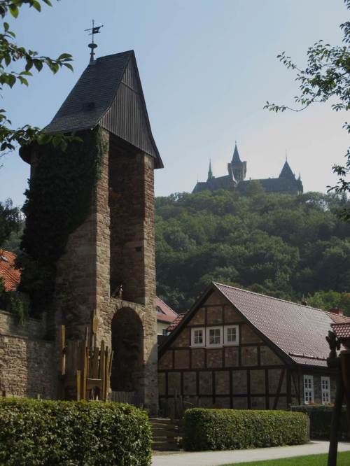 Ob in Wernigerode ...,