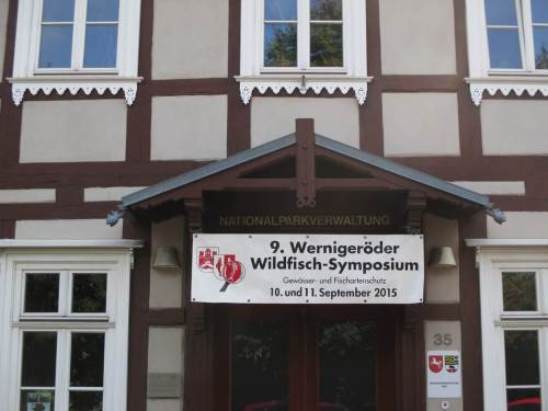 Wernigerode ist immer eine Reise wert - nicht nur zum Wildfisch-Symposium.