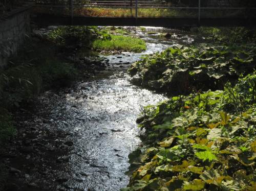 Promenade, Zillierbach-Detail.
