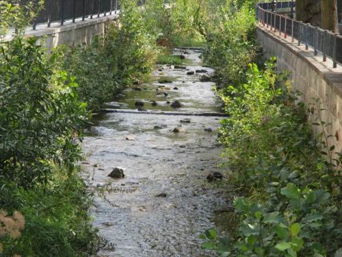 Kleine Wanderhindernisse sind noch vorhanden. Vielleicht mal etwas für Feinarbeiten später.