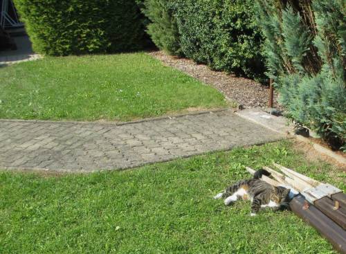 Oha, das wird  heute anders als gestern - mal aufpassen.