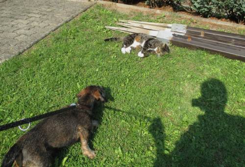 Meint ihr wirklich, ihr könnt mich meinen?!