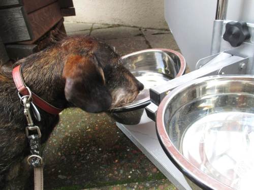 Bei so viel Laufen auf langer Strecke, so viel Arbeit rund um all die Gerüche - da kann man den aufmerksamen Menschen des "Terrassencafé" nur herzlich danken. Ahhh!