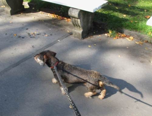 Prima erfrischt geht es wieder auf die Piste.