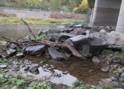 Durch den wechselnden Wasserstand zwischen Einstauen und Ablassen des Sees bilden sich regelhaft Restwasserflächen. Hier sind eine Vielzahl Jungfische eingeschlossen, sehr zum Nutzen von Wasseramsel, Eisvogel, Graureiher und vieler mehr. 
