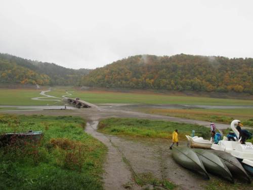 Trotz des Regens ist an der Aseler Brücke allerhand los. Wanderer und Schulklassen lassen sich von Landschaftsführern die Geschichte dieser nun meist versunkenen Agrarlandschaft vermitteln. Ich darf mit "meiner Lachs-story" sowie Turbulenz hin zum Bach- und Weg-Mäander überraschen.