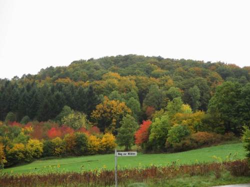 Von hier aus ist es nur ein Katzensprung zum Nationalparkzentrum Kellerwald. Ein Besuch lohnt sich.