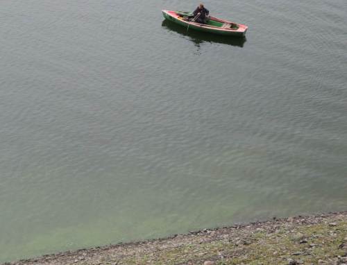 Der Edersee zeigt klares Wasser, am Ufer allerdings ausgeflockte Blaualgenblüte.