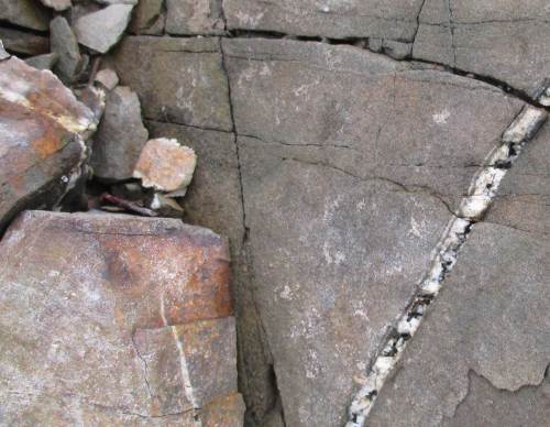 Ja, die Altvorderen, z.B. die alten Mönche mit ihren MINT-Spezis - die wussten diese Anzeichen zu deuten. Da muss doch Nutzbares in diesen Spalten stecken.