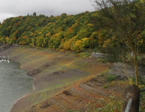 Jetzt auf dem Rückweg geniesse ich die Herbstkulisse des welligen Steilhangs - Farbenspiel aus Wasserabsenken und nachfolgender Pflanzenbesiedlung und -entwicklung.