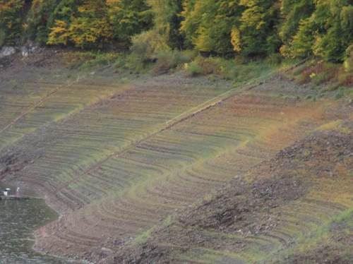 Weil`s so besonders aussieht, nochmal im Detail.