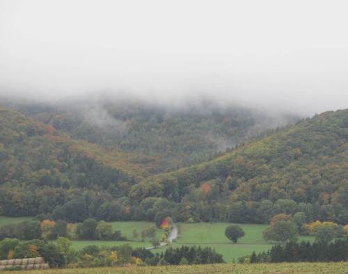 Fast habe ich das Auto erreicht. Der Peterskopf liegt noch in Regenschwaden, aber es klart auf.