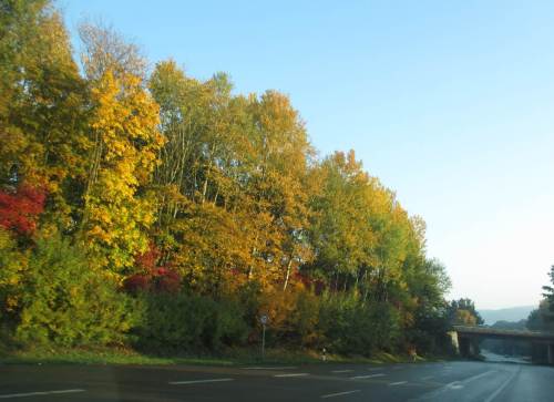 Am Folgetag, Abschied vom Waldeckischen, kurz vor der Autobahn.