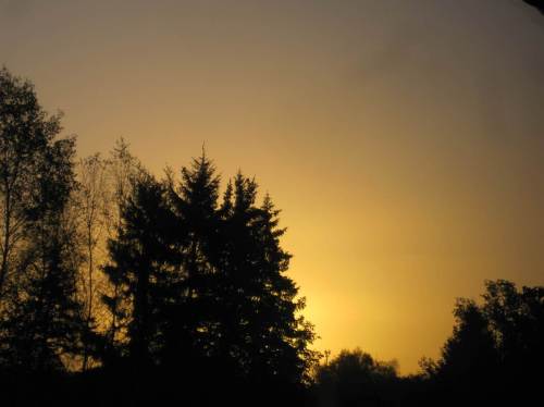 Wenn der herbstliche Tag so beginnt ...