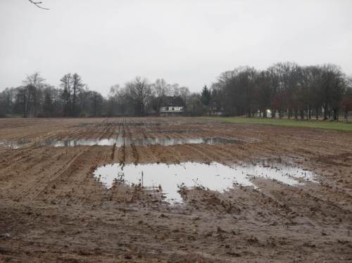 Ackerbau im Überschwemmungsgebiet - nds. Gewässer der 1. Priorität!