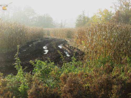 So manche Fläche war selbst vor "Heini" nicht abzuernten.