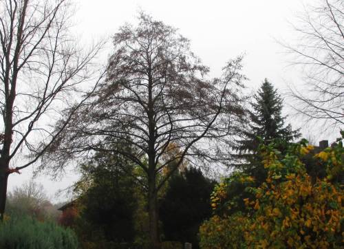 Da wundert sich die knapp 40jährige Haus-Erle.