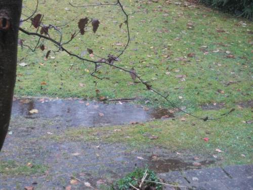 In kurzer Zeit kam allerhand Wasser herunter.