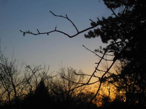 Sonnenaufgang bei klarem Himmel. Der Wetterbericht verspricht einen schönen Tag.