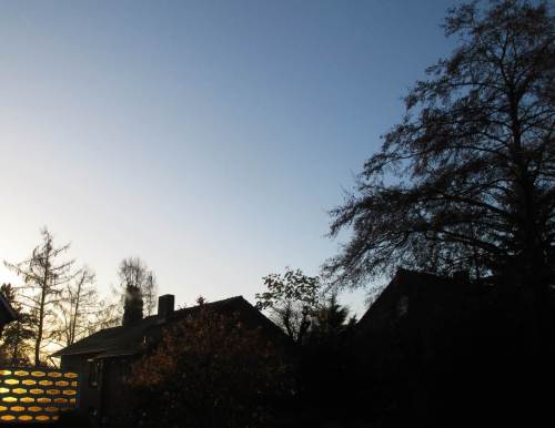 Keine Frage - die Haus-Erle werden wir vermissen.