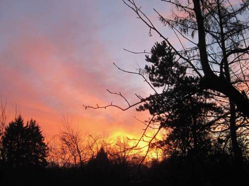 Und aus dem Wohnzimmer.