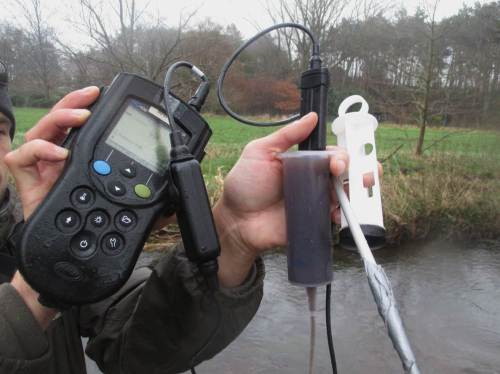 Das Erstaunliche für den nicht täglich mit dieser Materie Befassten: Feinmaterialien bedeuten nicht zwingend schlechte Sauerstoffwerte.