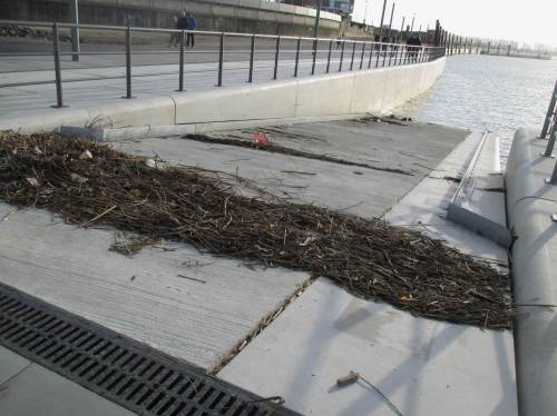 Strandgut - demnächst kommt mehr. Wir sind in der Sturm- und Sturmflutsaison. Die "normal" 3,60 m Tidehub werden regelhaft deutlich übertroffen.